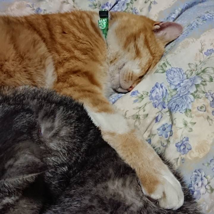 18ea44f7 5ee7 4853 8979 e2ac284cc4ec 1582381457115