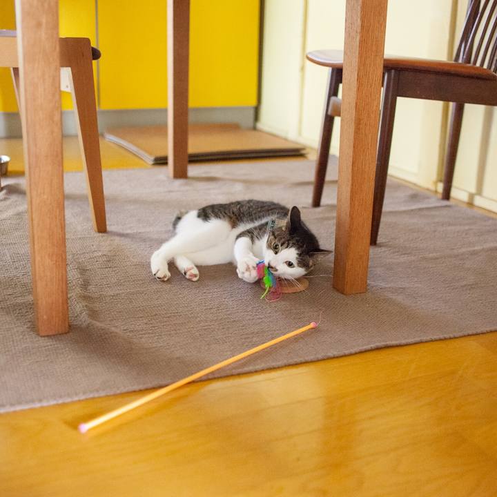 18ea4b55 e162 435c 9d26 c6a0ea0b7002 1572323173827