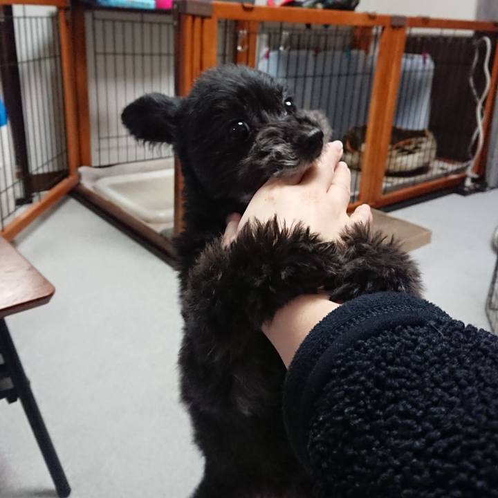 18ea51c2 e290 48e2 bd4d 80f18abc7cd9 1579605563925