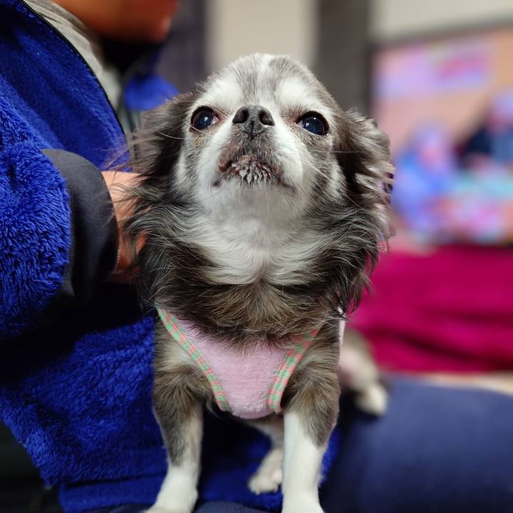 18ea96f4 af24 4039 b89a d9a70fce10ff 1767519519760