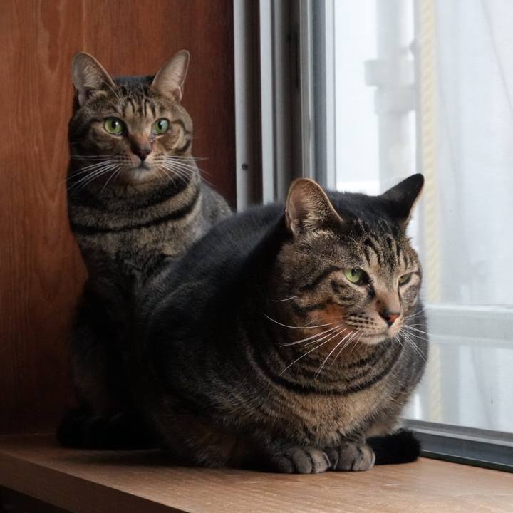 18eae8cd ea26 47f1 869c e90cd4e136e4 1730334235657