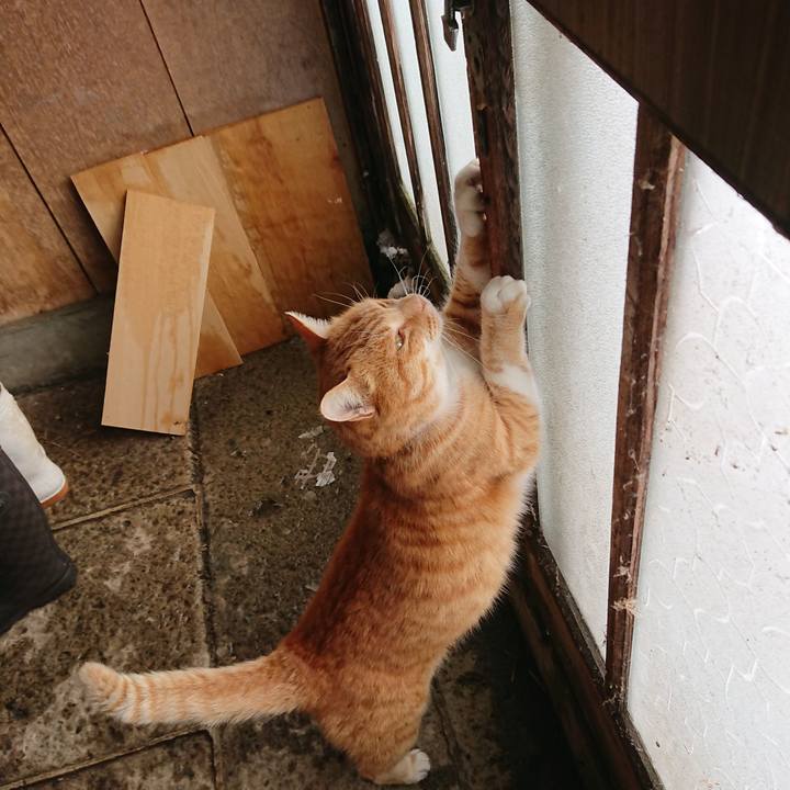 18eaebb3 63c7 4de1 a038 be3da6f2d827 1608436625927