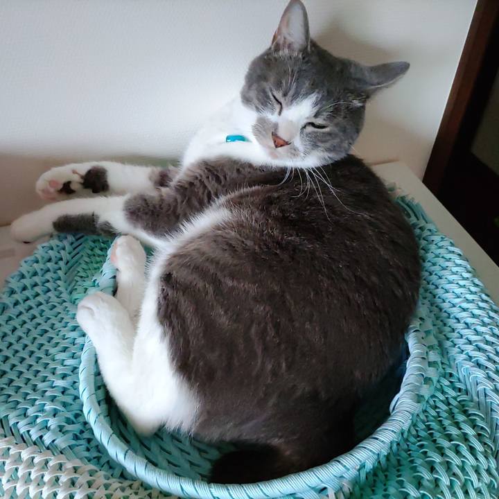 18eaf07c 32c2 4984 86d8 e0fb78aada5f 1655258746425