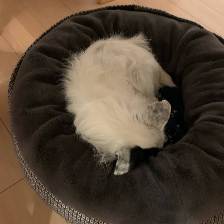 18eb009f 9964 4af3 a699 04419919b440 1680353959117