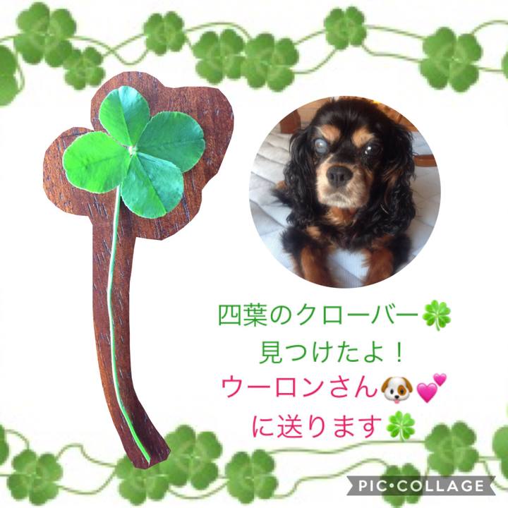 18eb2df7 5057 4571 82f5 0b4f2b80df4d 1532935888085