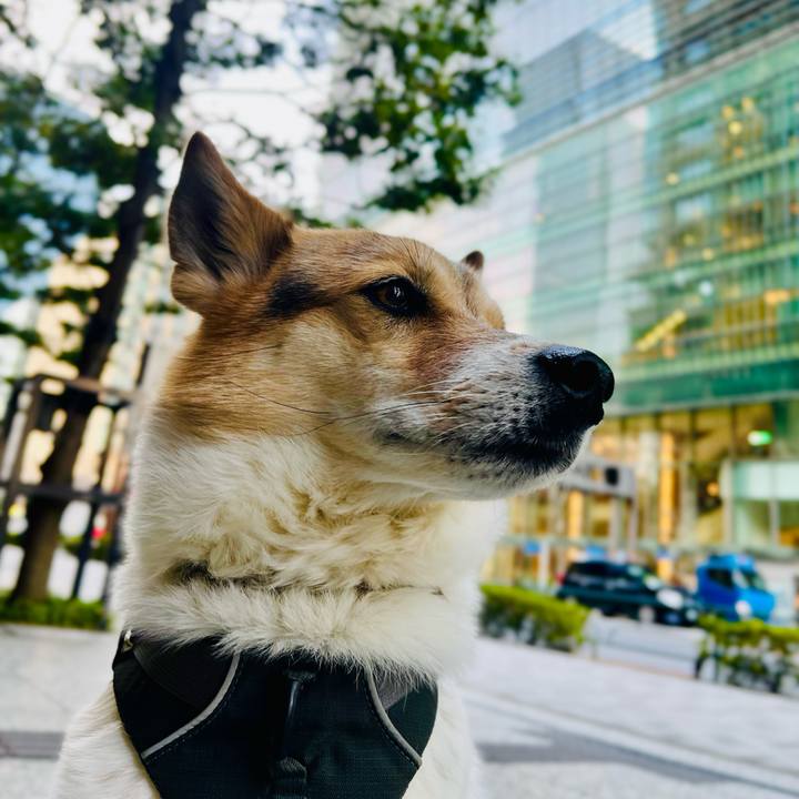 18eb58cf 2b06 4dbe 9a64 2493cad98d2f 1768797632683