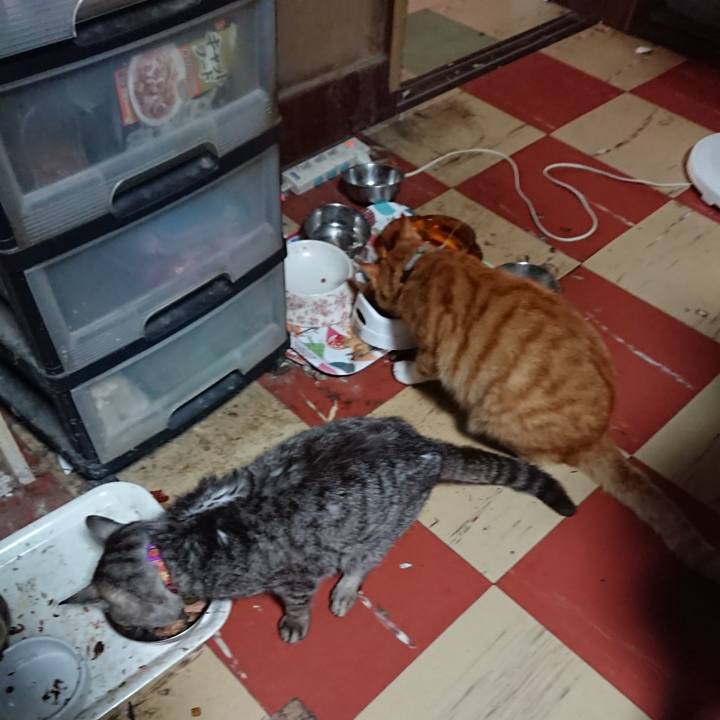 18eb9456 6710 413f 9dc0 77176ce5c4ac 1596748052519