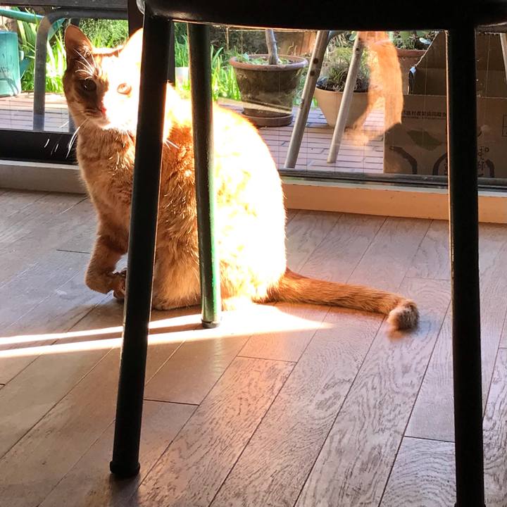 18eb9954 7ad1 4edb b6cf 98c322577cd9 1612144793501