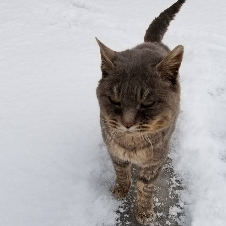 18eb9a30 e9a6 45f6 97d8 fb252da65498 1546154178752