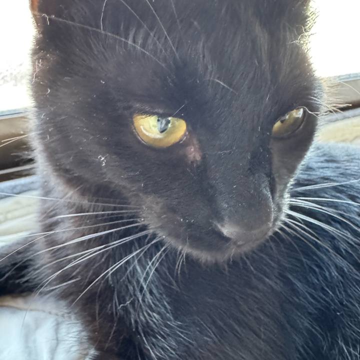 18ebad63 21a3 476e a0a5 163bb03782c3 1754100950190