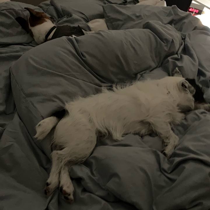 18ebcd58 b851 4b95 b2d4 588551e462e2 1562853228434