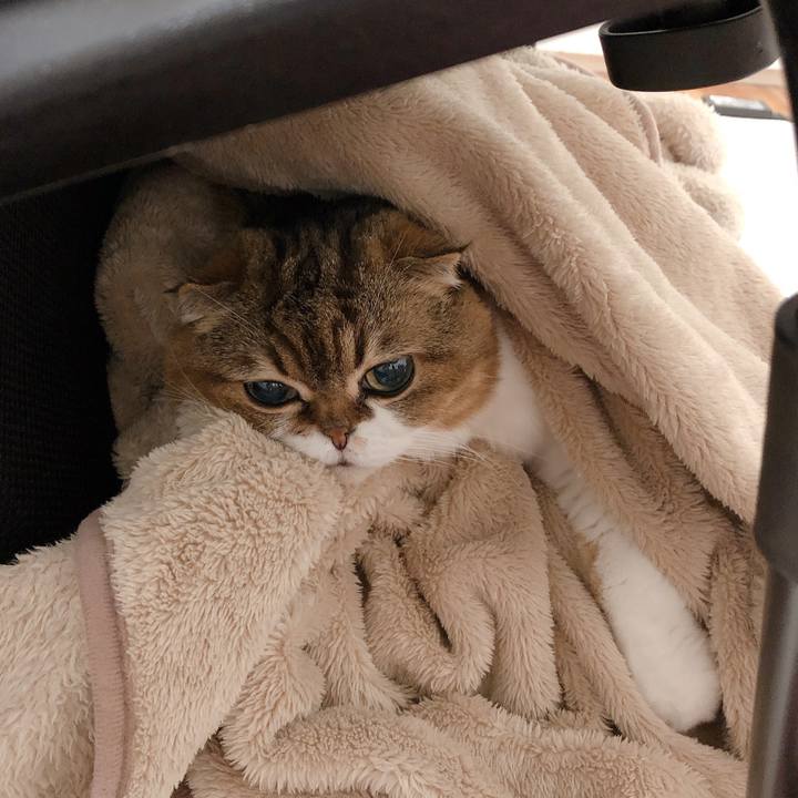 18ebd527 4383 4dd5 a958 f3c051404c2f 1602890194185