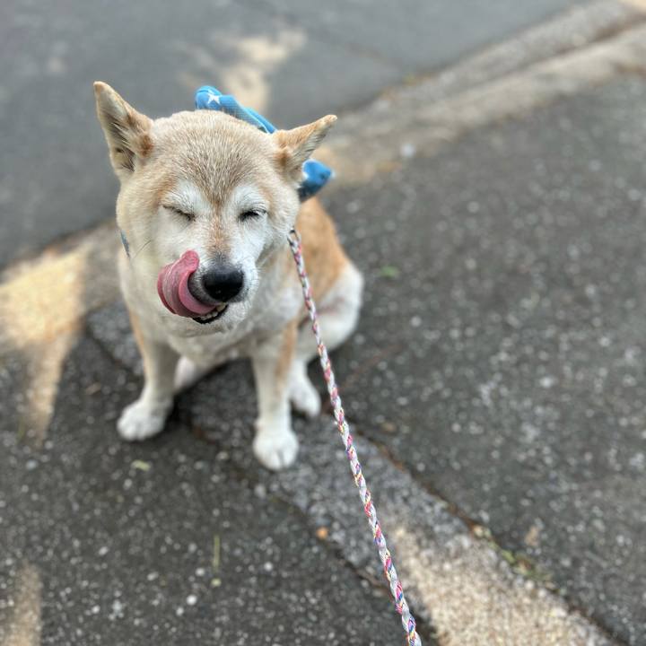 18ebe0ee f401 447d addd 58db1b2c1183 1749799546398