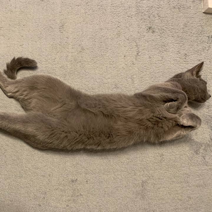 18ebe40f de0b 429e a3d9 54e8b313112e 1666057093910