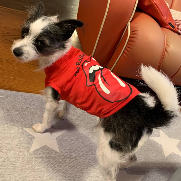 18ec0479 5f3f 4e6e 8ccd 7ba5db59667c 1571137206783