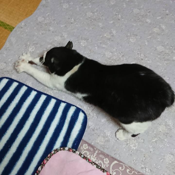 18ec1720 12e9 45ba 979f 854a847e3059 1553912959277