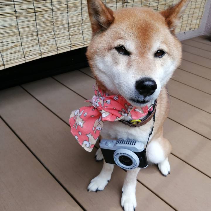 18ec20be e7c0 48c3 952f 754edfe56927 1655442967114