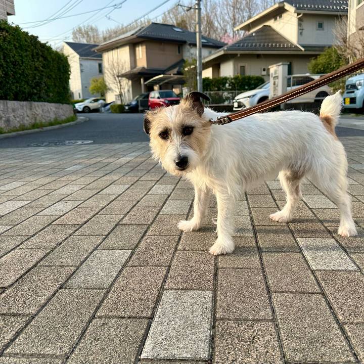 18ec5144 4cce 4eaa bac2 354324a9e421 1742998850816