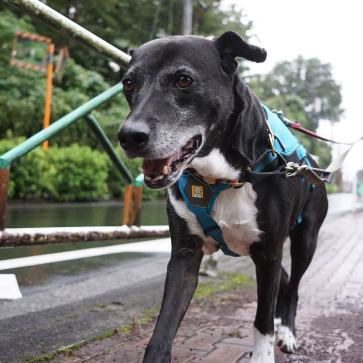 18ec7b00 eb51 4bba 8685 c8730775494e 1761436293124