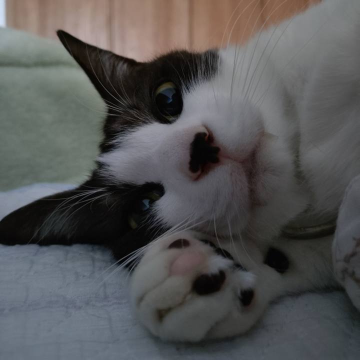 18ecada6 7021 4589 8cc4 6013709ae302 1738364961240