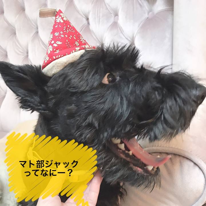 18ecc8fa e41d 4215 93a2 89b00a53f83c 1557060988304