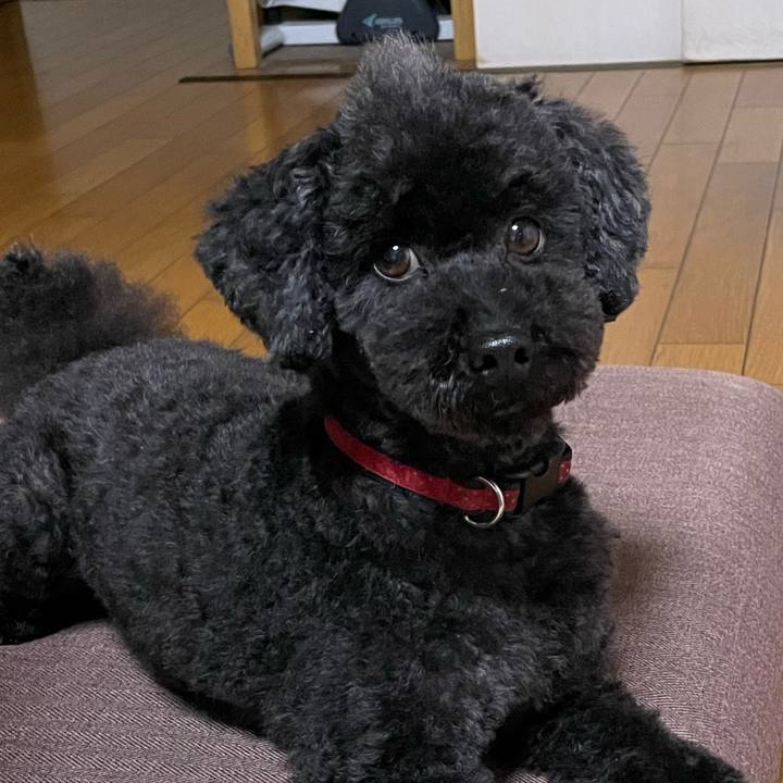 18ece512 b5f0 4cb1 996e 4bc01e846142 1681620880426