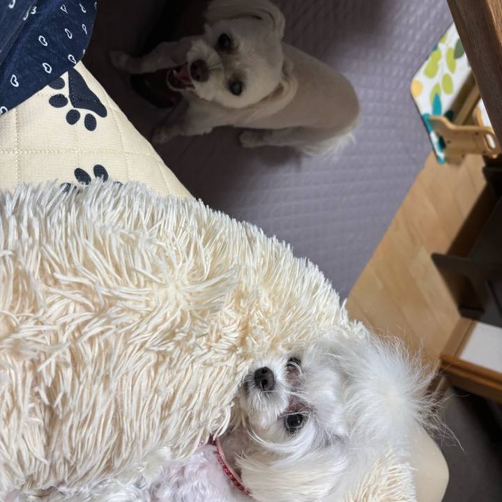 18ece8f7 1087 4b7a 917a 9a8a6de8f4c6 1750765421635