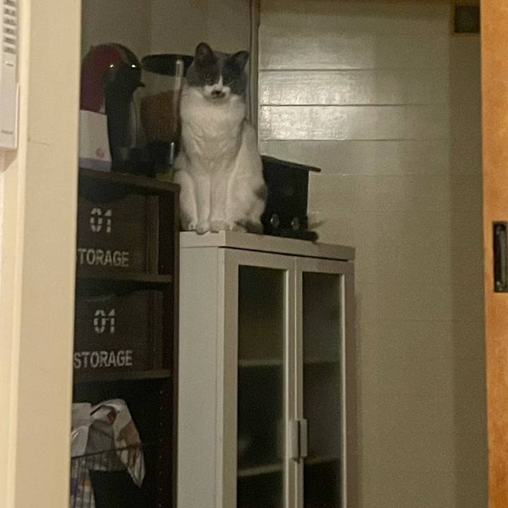 18ecf95e 3d3f 4c2c 93d5 01ff1a4ca6e9 1681317919486