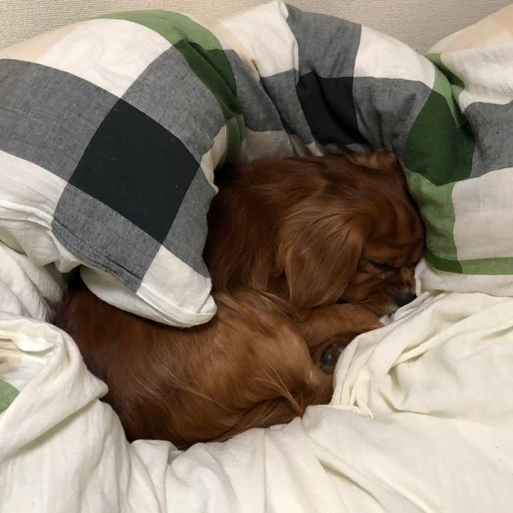 18ed0320 f0ce 4d86 a76e 85b24261448a 1542233743364