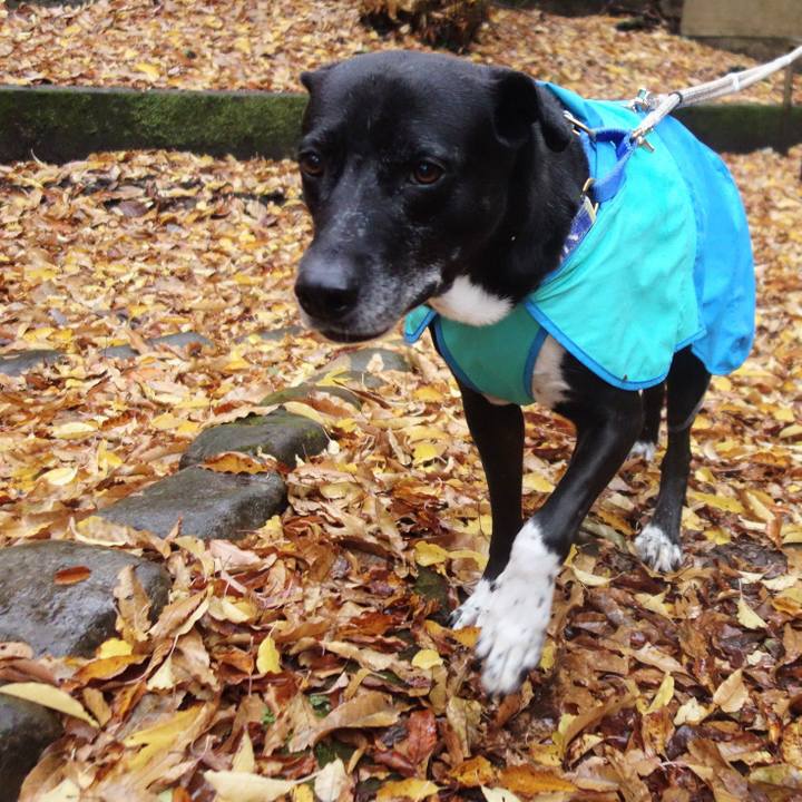 18ed1695 984d 49b2 8961 125e4b748a58 1702340605652