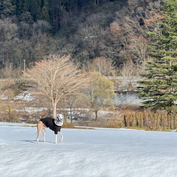 18ed262e eb0a 49bc b367 ae2336d3fa6c 1763884873619