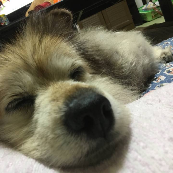 18ed26ad a26c 49c4 b9f0 463a1f3cea30 1640598285303