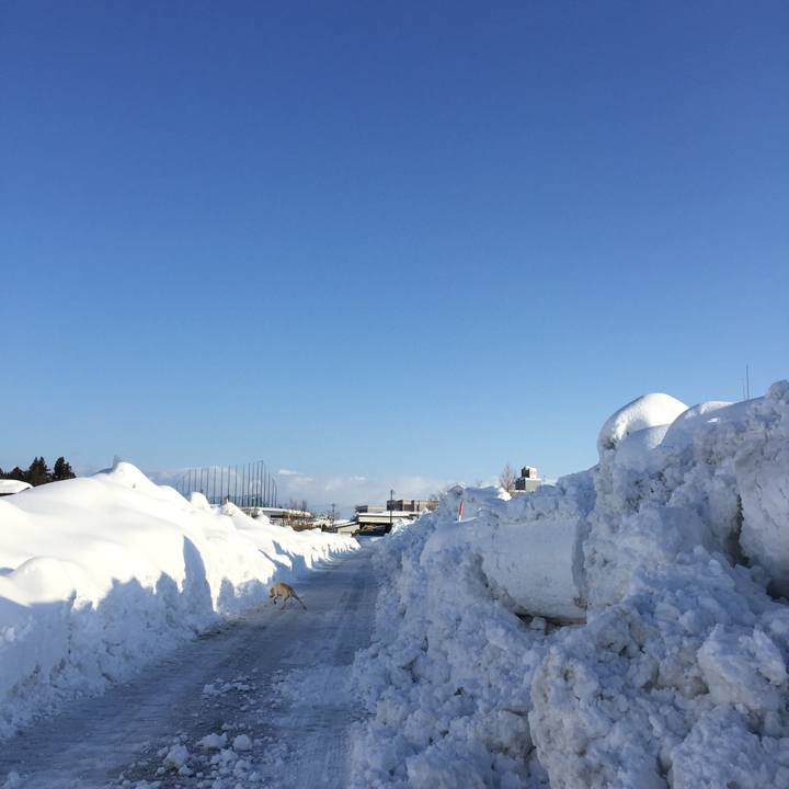 18ed483a 1269 43d6 acf1 096d37d47af6 1518565060574