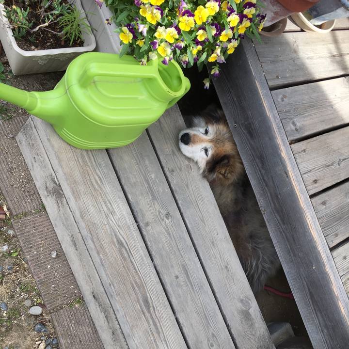 18ed4e4e 862b 4a8d ba49 120a6f435b95 1661818301188