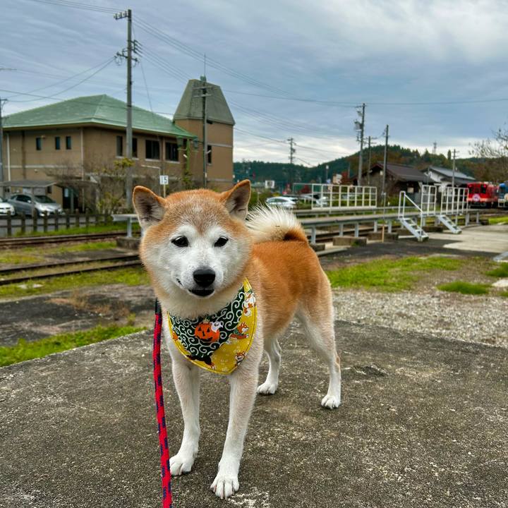 18ed5274 3c8f 435e 894c e036fe66ffc7 1761900819616