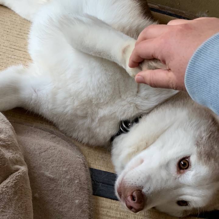 18ed57da a59b 4d28 bb62 0b176f499522 1584116261176