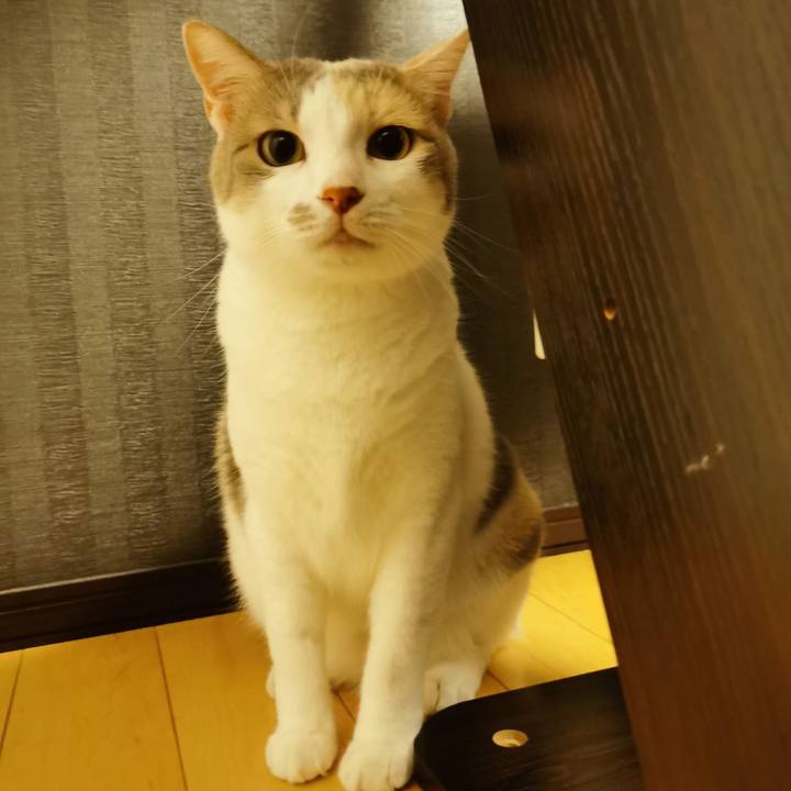 18ed8a1c 545f 43d3 b0ab 61f7124981fc 1657250407675