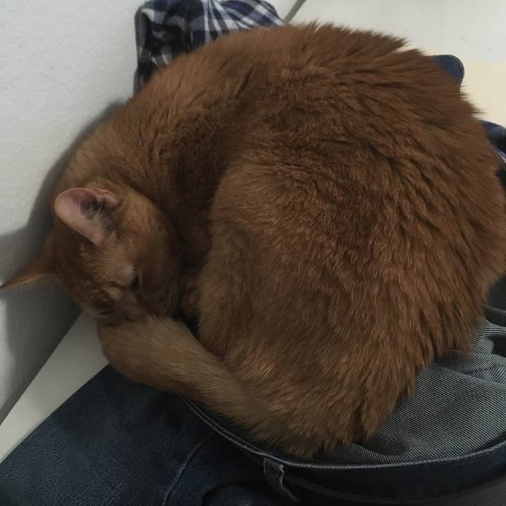 18eddc2c 2e9b 4936 8be2 6ea8cf8b0018 1692839310640