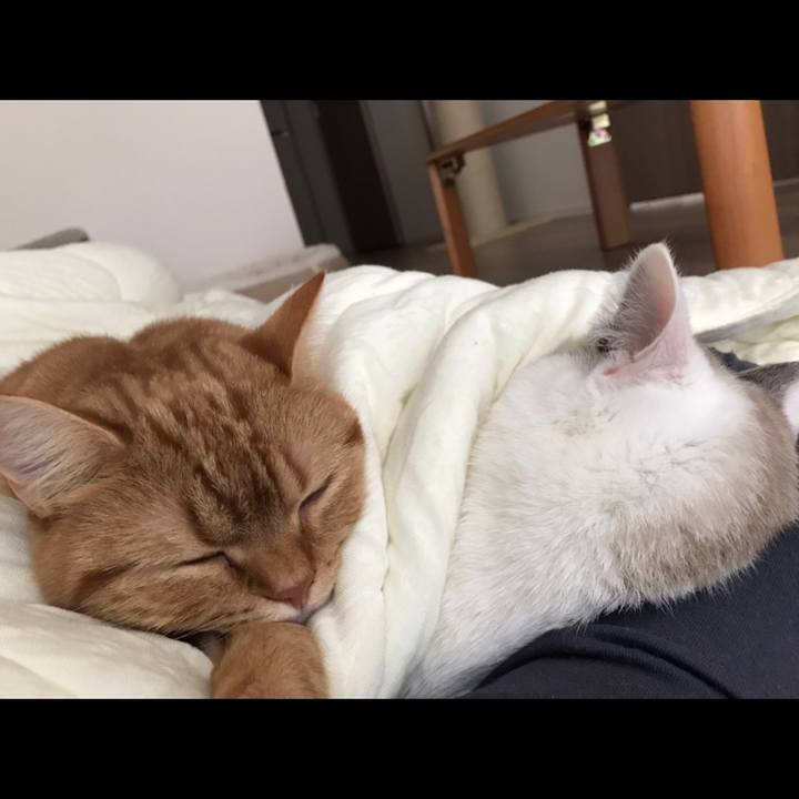 18ee0167 5f42 414b 9d03 cc053a0b5f4a 1515288297346