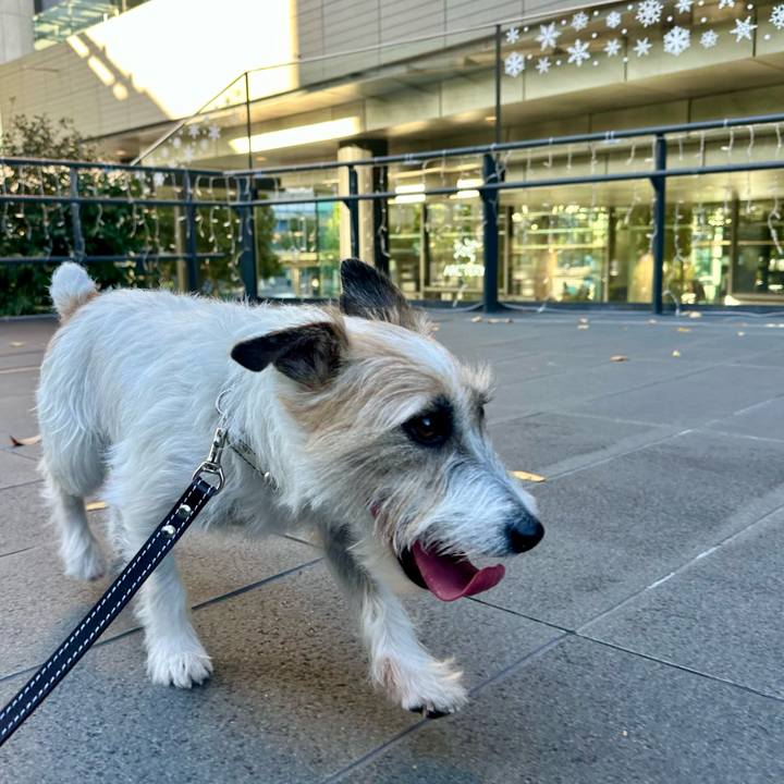 18ee2223 5916 4d0c adeb 859a27bf7af6 1733085144783