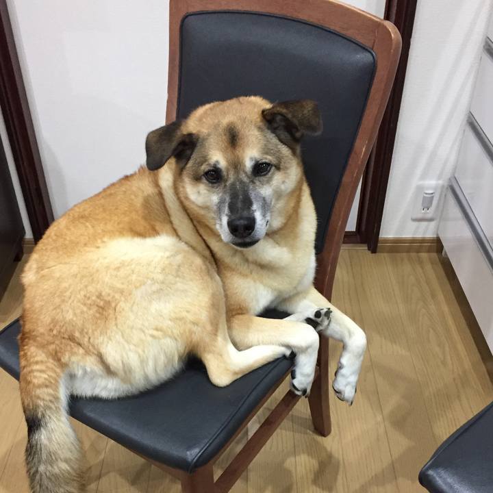 18ee555b 45e0 4e3e ba60 fe5e724a95bf 1543490051095