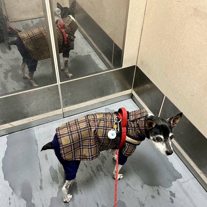 18ee556b a73d 42aa afdd 2bc1ebcbc2cb 1652447212867