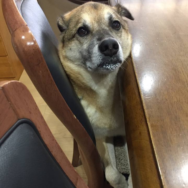 18ee900f 298c 41b1 821f 6988c6e5ce53 1542805664877