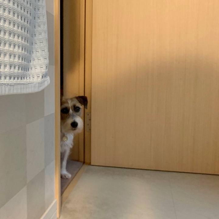 18ee9f2a 33f5 4ed7 a4b3 cc988bfea315 1629156940268