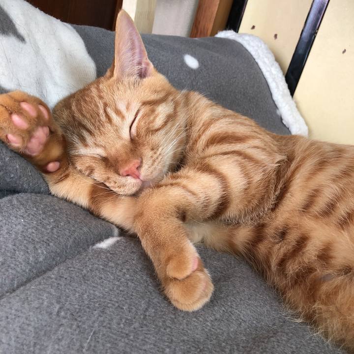 18eeba4b 893c 4b5b 8e33 a4d7e7bc41da 1519096680263