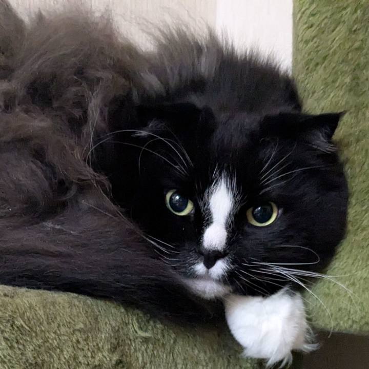 18eed298 3760 4843 b7df 584df197aeb0 1773874910334