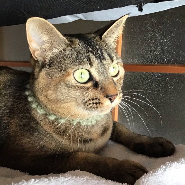 18eee516 8dde 4688 8e3c 753640c145d7 1645588358121