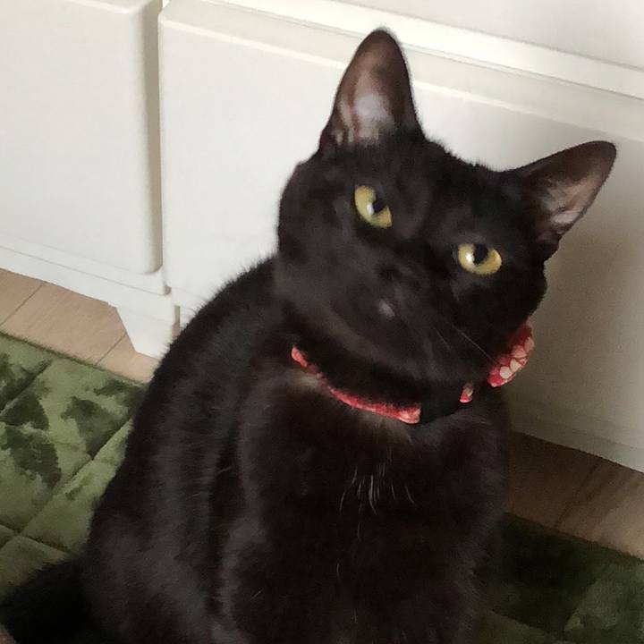 18eefca4 457c 4e4f 99da 09e2e6cd2296 1521614170985