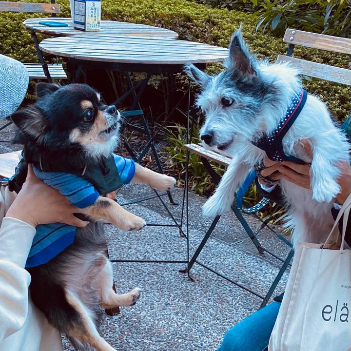 18ef147d fcd1 4019 a68d fe4446778f36 1603630693446