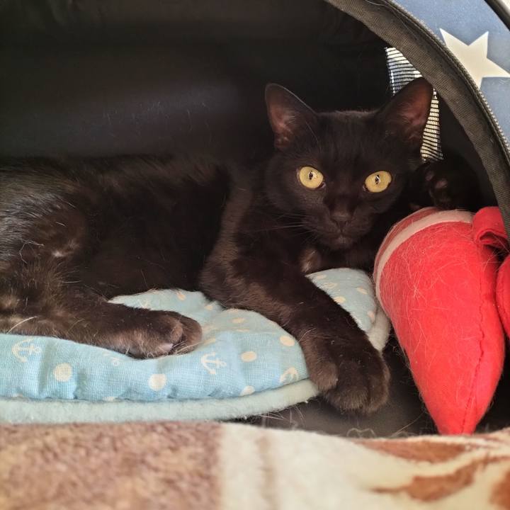 18ef33b5 47b3 4c0a a7d0 7fbdf489a2c0 1655594969599